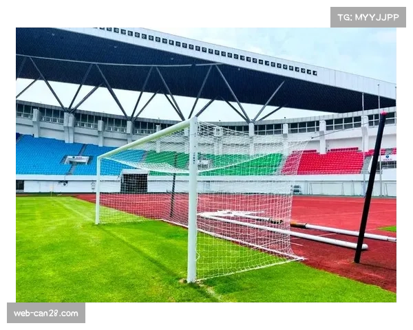 肇庆新区体育中心专业草坪获球队认可